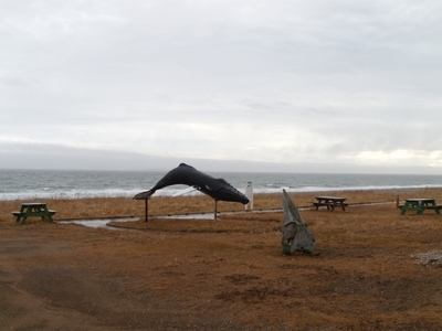 The whale