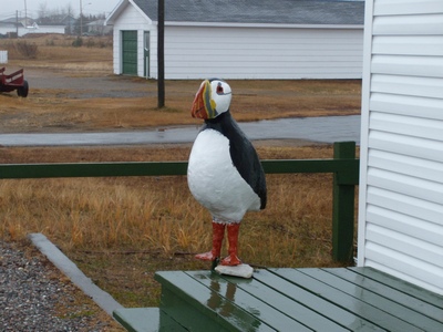 Puffin