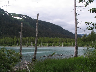 Portage Lake area