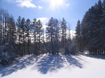 Bonner Lake