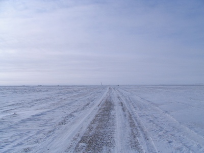 The road