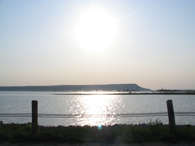 Photo by R.Tanabe