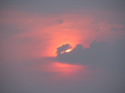 Photo by R.Tanabe