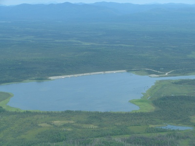 Bettles float pond