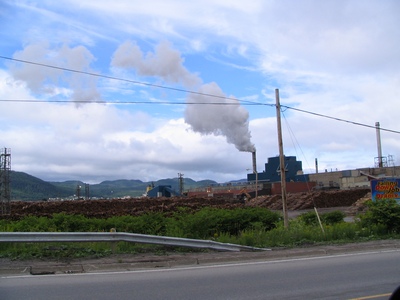 Pulp & Paper Mill