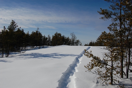 Snow path
