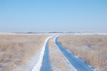 Tracks