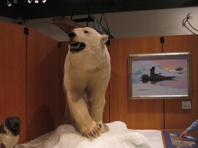 Polar bear
