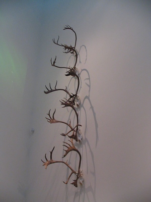 Antler art