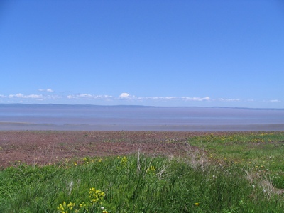Cobequid Bay