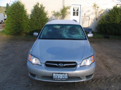 Subaru after moose