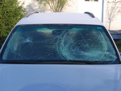 Subaru after moose