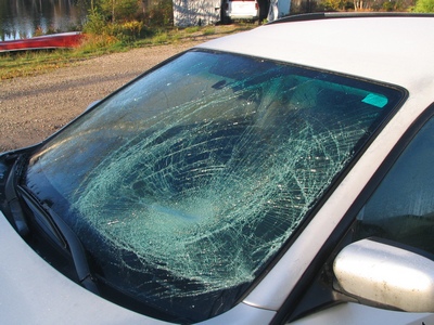 Subaru after moose