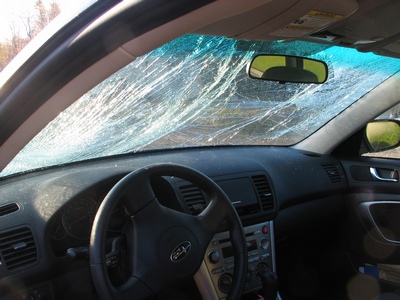 Subaru after moose
