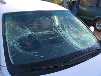 Subaru after moose