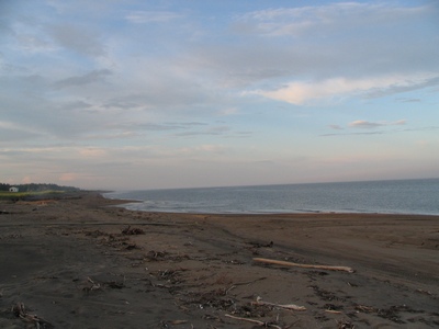 The sea