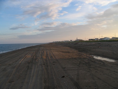 The beach