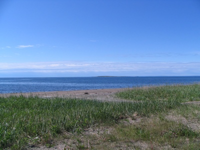 The sea