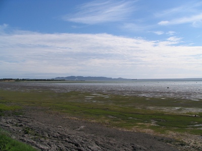Looking east