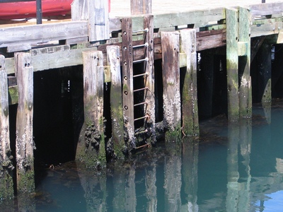 Low tide