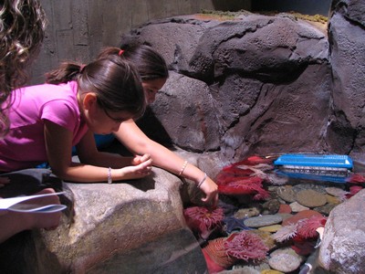 Touch pool