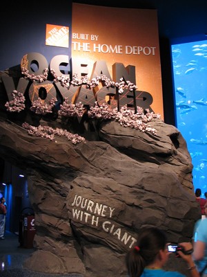 Ocean Voyager