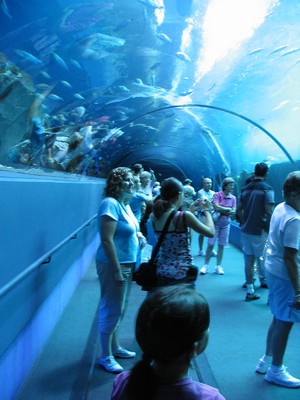Moving walkway