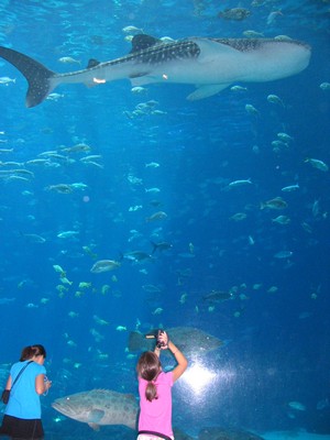 Angela and Claudia with the Whale Shark