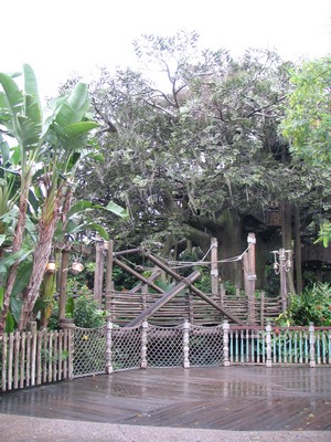 Treehouse