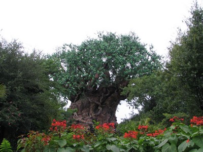 Tree of Life