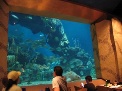 Coral Reef