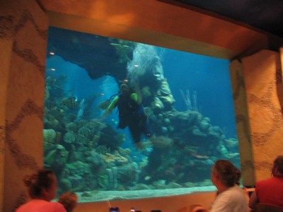 Diver