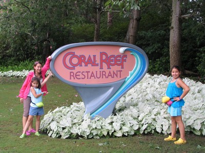 Coral Reef