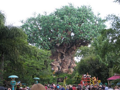 The Tree of Life