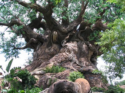 Tree of Life