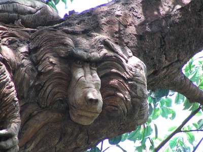 Tree of Life