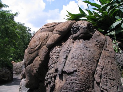 Turtle
