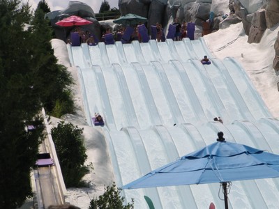 Toboggan Racers