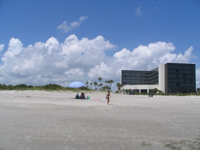 Hilton