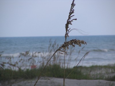 Photo by Susan