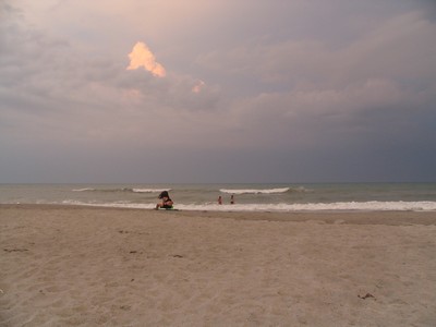 The Ocean