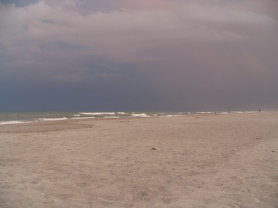 The Ocean