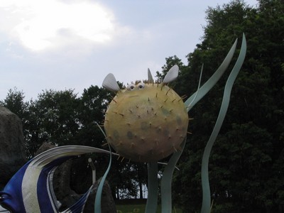  4 Jul 11