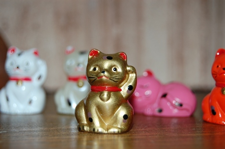 Lucky cats
