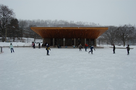 The rink