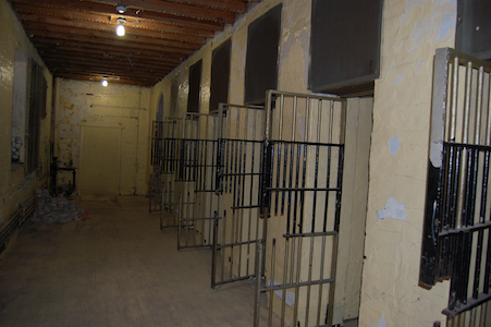 The cells