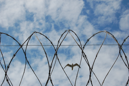 Barb wire
