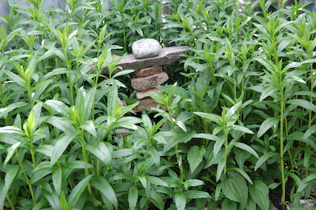 Inukshuk