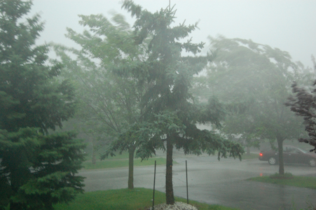 Storm