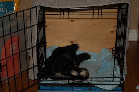 Crate